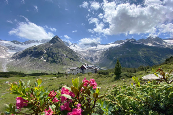 Bergsommer – Bild 5